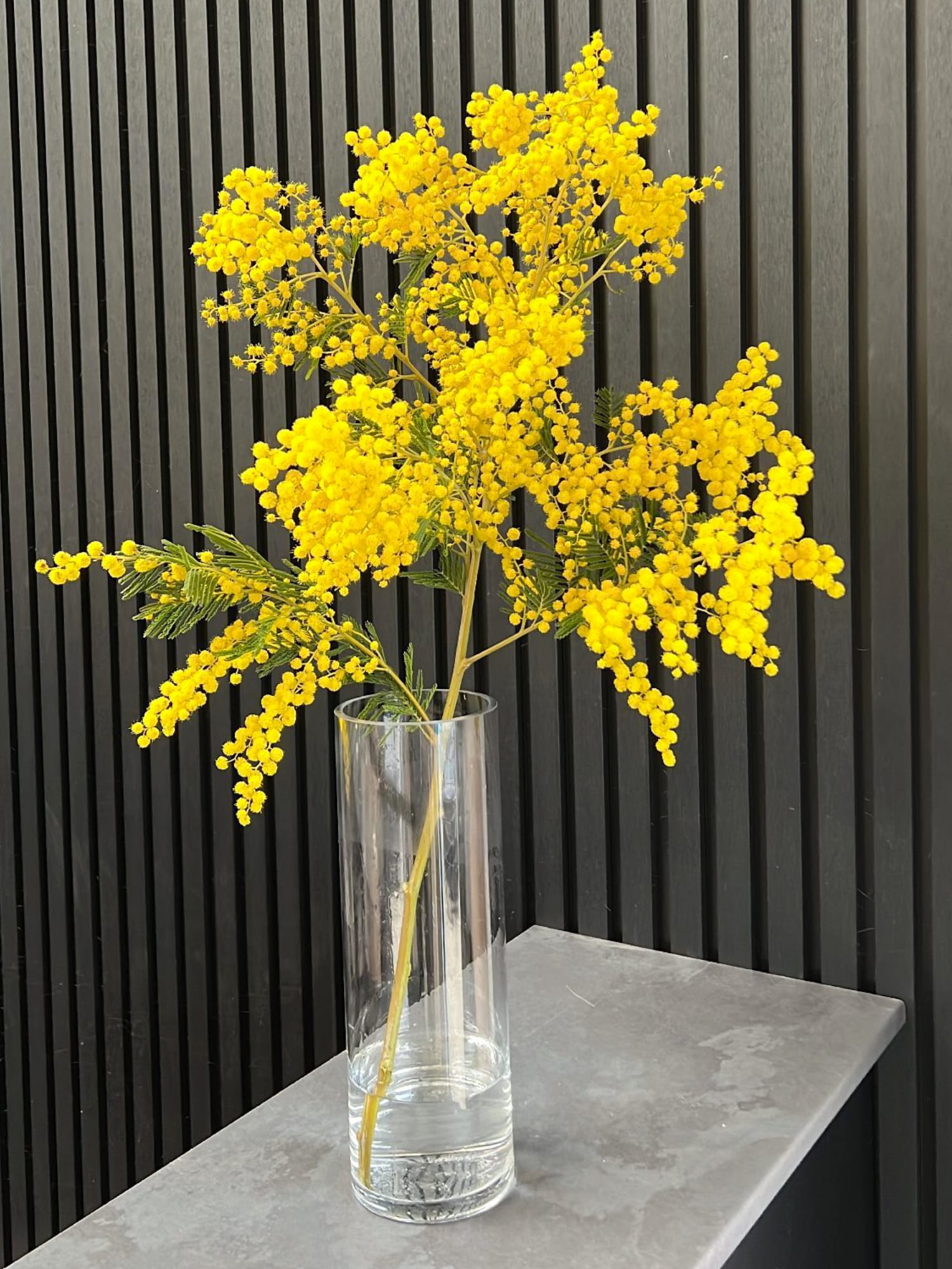 Mimosa Bunch - FLOWERFIX