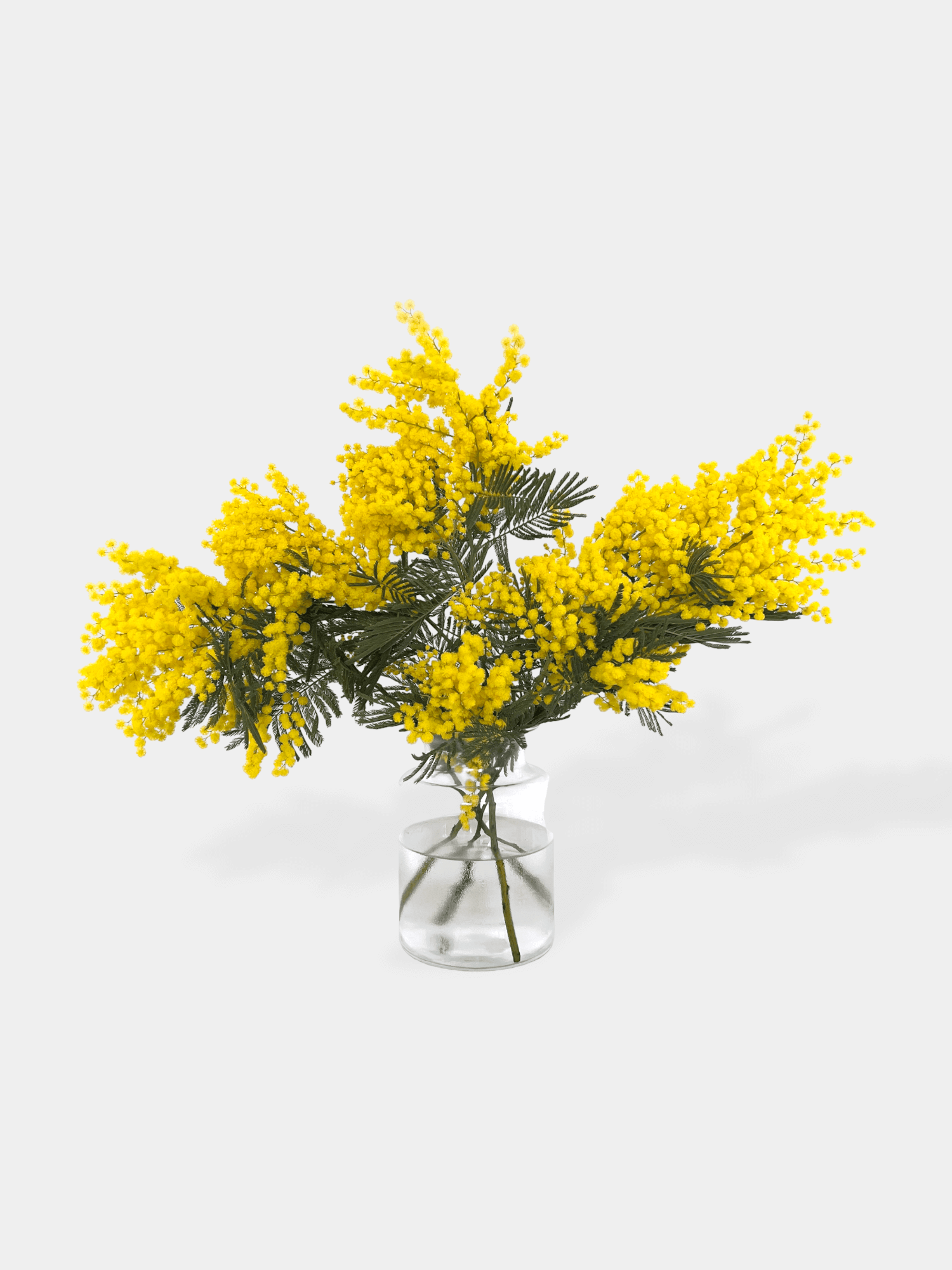 Mimosa Bunch - FLOWERFIX